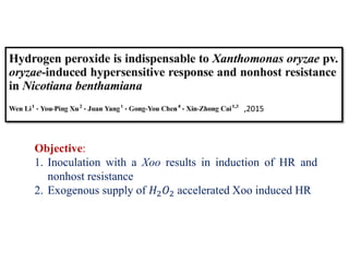 Objective:
1. Inoculation with a Xoo results in induction of HR and
nonhost resistance
2. Exogenous supply of 𝐻2 𝑂2 accelerated Xoo induced HR
,2015
 