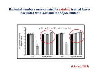 Bacterial numbers were counted in catalase treated leaves
inoculated with Xoo and the Δhpa1 mutant
(Li et al., 2015)
 