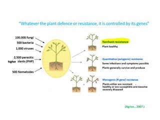“Whatever the plant defence or resistance, it is controlled by its genes”
(Agrios., 2007 )
higher
,
 