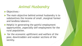 Animal Husbandry 
 Objectives:- 
 The main objective behind animal husbandry is to 
substantives the income of small ,marginal farmer 
and landless laborers . 
 Helpful in generating the gainful employment 
opportunities ,especially self employment for the 
rural population. 
 for the economic upliftment and welfare of the 
poor, downtrodden and weaker sections of the 
society. 
 