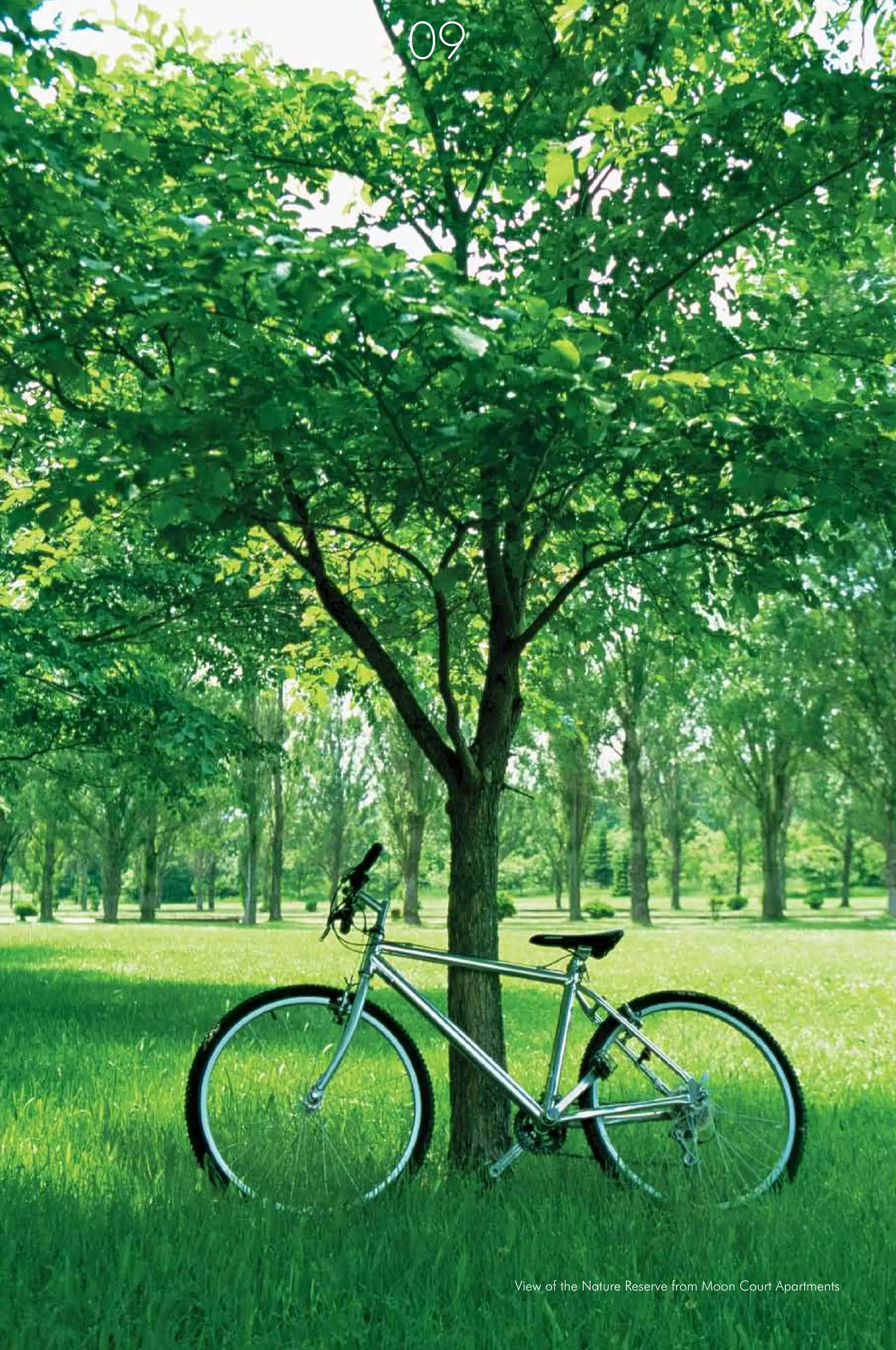 Jaypee Moon Court 2 BHK Apartment for sale Call 917533006689