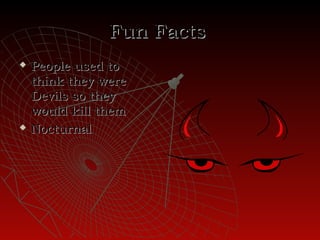 Fun Facts
   People used to
    think they were
    Devils so they
    would kill them
   Nocturnal
 