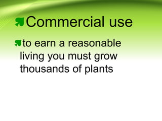 Commercial use
to earn a reasonable
living you must grow
thousands of plants