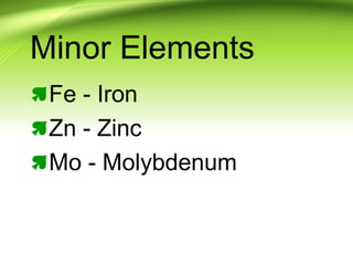 Minor Elements
Fe - Iron
Zn - Zinc
Mo - Molybdenum