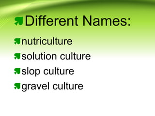 Different Names:
nutriculture
solution culture
slop culture
gravel culture