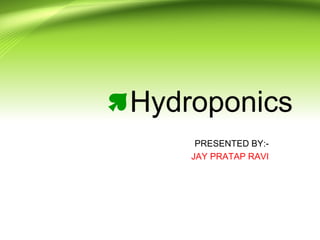 Hydroponics
PRESENTED BY:-
JAY PRATAP RAVI
 