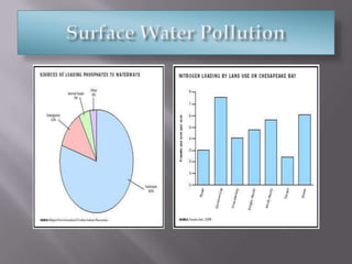 Surface Water Pollution