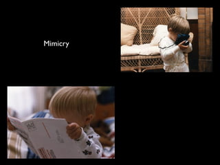 Mimicry
 