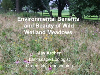 Environmental Benefits
and Beauty of Wild
Wetland Meadows
Jay Archer
Landscape Ecologist
Green Jay Landscaping
 