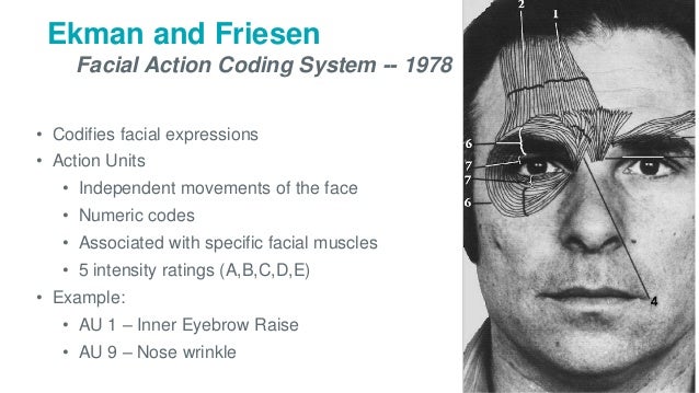 facial-action-coding-system-online