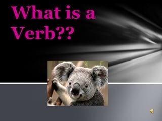 What is a Verb?? 