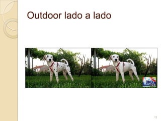 Outdoor lado a lado

12

 