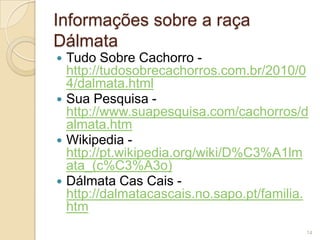 Informações sobre a raça
Dálmata
Tudo Sobre Cachorro http://tudosobrecachorros.com.br/2010/0
4/dalmata.html
 Sua Pesquisa http://www.suapesquisa.com/cachorros/d
almata.htm
 Wikipedia http://pt.wikipedia.org/wiki/D%C3%A1lm
ata_(c%C3%A3o)
 Dálmata Cas Cais http://dalmatacascais.no.sapo.pt/familia.
htm


14

 