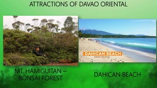 DAVAO OCCIDENTAL
• 81st and the newest province of the
Philippines.
• Capital: Malita
• Population(2015): 316, 342
• Land ...