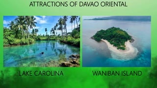 HISTORY OF DAVAO OCCIDENTAL
• Davao Occidental was created through Republic Act 10360
enacted on July 23, 2013 signed by P...
