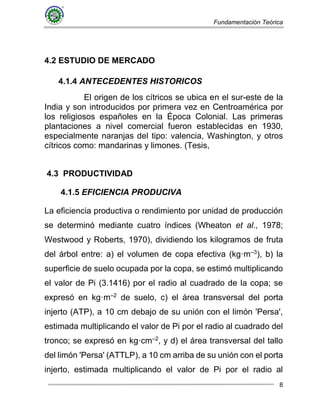 Fundamentación Teórica
8
4.2 ESTUDIO DE MERCADO
4.1.4 ANTECEDENTES HISTORICOS
El origen de los cítricos se ubica en el sur-este de la
India y son introducidos por primera vez en Centroamérica por
los religiosos españoles en la Época Colonial. Las primeras
plantaciones a nivel comercial fueron establecidas en 1930,
especialmente naranjas del tipo: valencia, Washington, y otros
cítricos como: mandarinas y limones. (Tesis,
4.3 PRODUCTIVIDAD
4.1.5 EFICIENCIA PRODUCIVA
La eficiencia productiva o rendimiento por unidad de producción
se determinó mediante cuatro índices (Wheaton et al., 1978;
Westwood y Roberts, 1970), dividiendo los kilogramos de fruta
del árbol entre: a) el volumen de copa efectiva (kg·m–3
), b) la
superficie de suelo ocupada por la copa, se estimó multiplicando
el valor de Pi (3.1416) por el radio al cuadrado de la copa; se
expresó en kg·m–2
de suelo, c) el área transversal del porta
injerto (ATP), a 10 cm debajo de su unión con el limón 'Persa',
estimada multiplicando el valor de Pi por el radio al cuadrado del
tronco; se expresó en kg·cm–2
, y d) el área transversal del tallo
del limón 'Persa' (ATTLP), a 10 cm arriba de su unión con el porta
injerto, estimada multiplicando el valor de Pi por el radio al
 