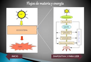 INICIO DIAPOSITIVA 3 PARA LEER
Flujos de materia y energía
 
