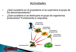 INICIO
Actividades
• ¿Qué sucedería en el ecosistema si se suprimiera el grupo de
los descomponedores?
• ¿Qué sucedería si se destruyera el grupo de organismos
productores? Fundamenta tu respuesta.
 