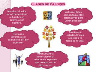 Clases de valores Morales: el valor moral perfecciona al hombre en cuanto a ser hombre.Instrumentales: comportamientos alternativos para un fin deseado.Terminales: estados finales o metas a lo largo de la vida.Humanos inframorales: exclusivos del ser humano.Infrahumanos: perfeccionan al hombre en aspectos que comparte con otros seres.