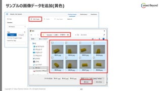 Copyright © Tokyo Electron Device LTD. All Rights Reserved. 43
サンプルの画像データを追加(黄色)
 