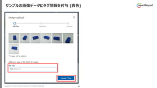 Copyright © Tokyo Electron Device LTD. All Rights Reserved. 46
サンプルの画像データにタグ情報を付与 (青色)
 