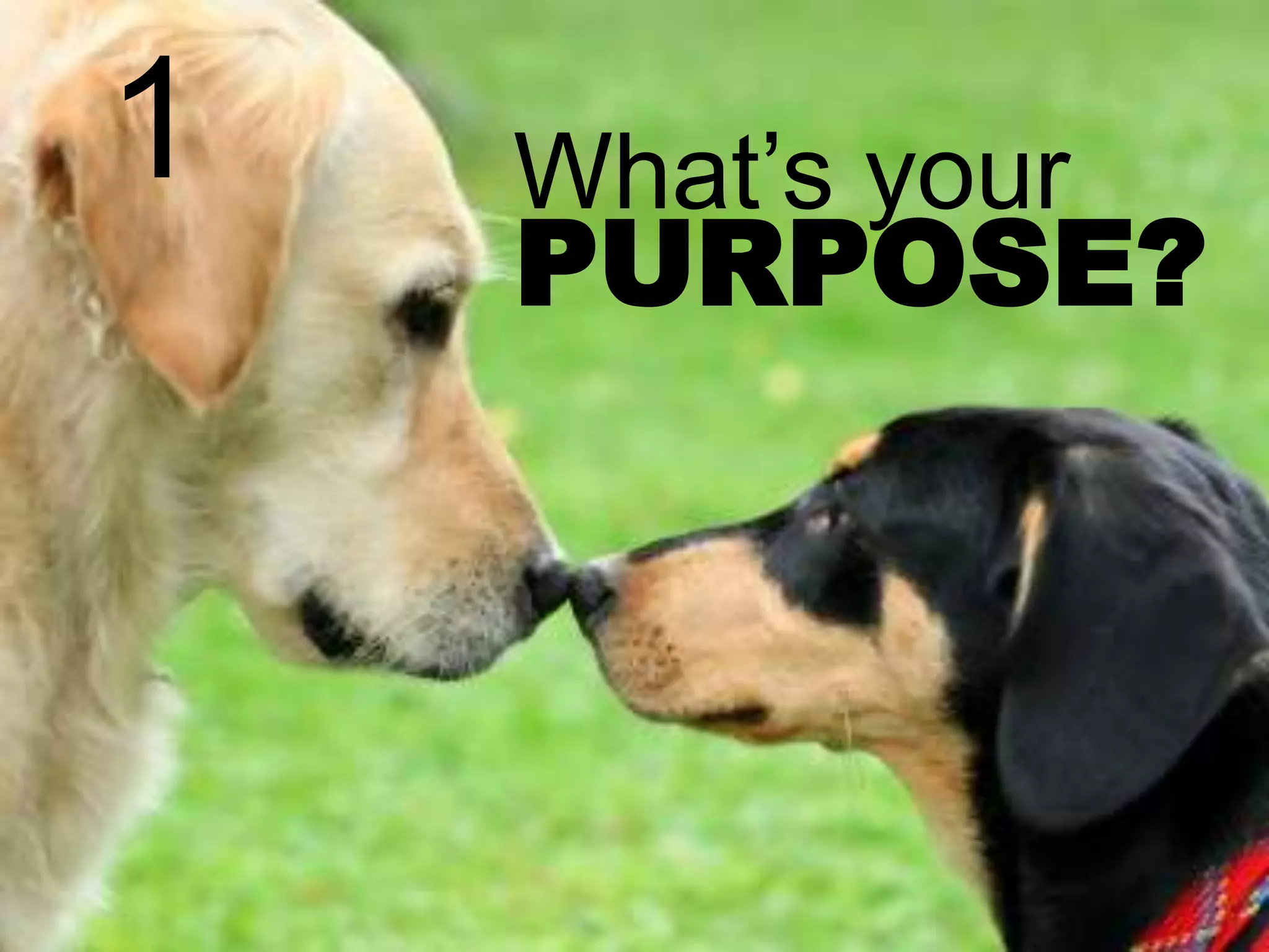 1

What’s your

PURPOSE?

 