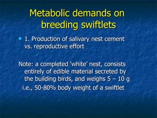 Lord Cranbrook,Swiflets Specialist.