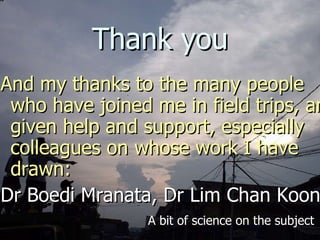 Lord Cranbrook,Swiflets Specialist.