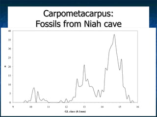 Lord Cranbrook,Swiflets Specialist.