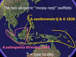 Lord Cranbrook,Swiflets Specialist.