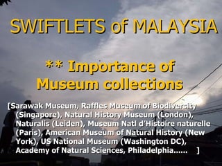 Lord Cranbrook,Swiflets Specialist.