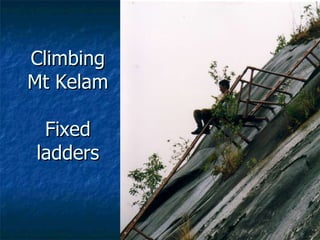 Lord Cranbrook,Swiflets Specialist.