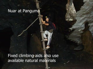 Lord Cranbrook,Swiflets Specialist.