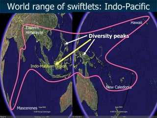 Lord Cranbrook,Swiflets Specialist.