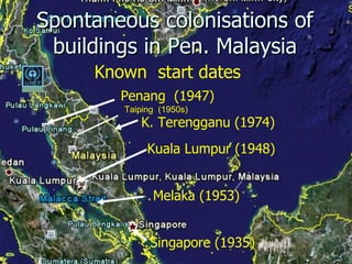 Lord Cranbrook,Swiflets Specialist.