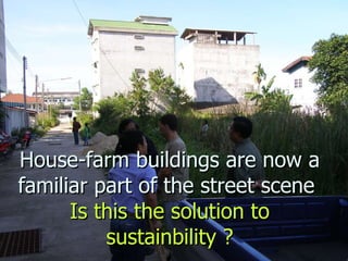 Lord Cranbrook,Swiflets Specialist.