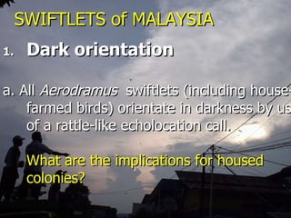 Lord Cranbrook,Swiflets Specialist.