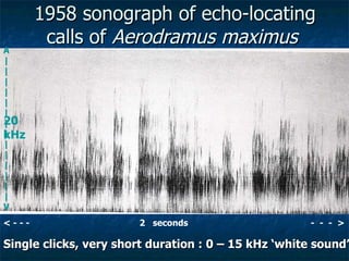 Lord Cranbrook,Swiflets Specialist.