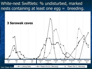 Lord Cranbrook,Swiflets Specialist.