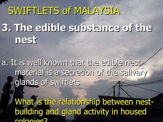 Lord Cranbrook,Swiflets Specialist.