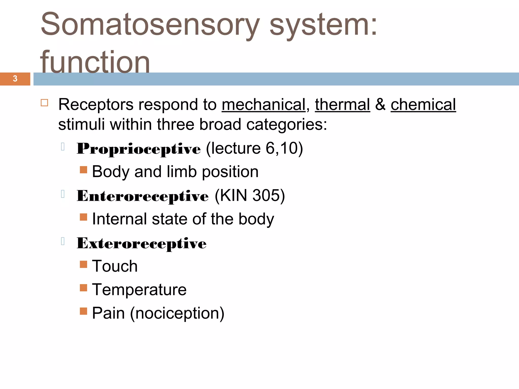 Somatosensory system:
function3
 Receptors respond to mechanical, thermal & chemical
stimuli within three broad categories:
 Proprioceptive (lecture 6,10)
 Body and limb position
 Enteroreceptive (KIN 305)
 Internal state of the body
 Exteroreceptive
 Touch
 Temperature
 Pain (nociception)
 
