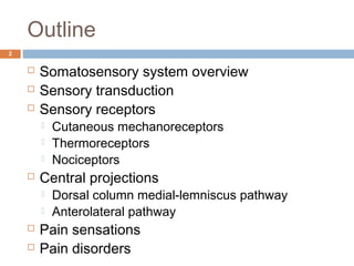 Outline
 Somatosensory system overview
 Sensory transduction
 Sensory receptors
 Cutaneous mechanoreceptors
 Thermoreceptors
 Nociceptors
 Central projections
 Dorsal column medial-lemniscus pathway
 Anterolateral pathway
 Pain sensations
 Pain disorders
2
 