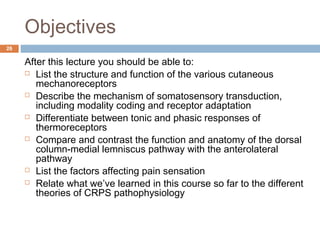 Objectives
After this lecture you should be able to:
 List the structure and function of the various cutaneous
mechanoreceptors
 Describe the mechanism of somatosensory transduction,
including modality coding and receptor adaptation
 Differentiate between tonic and phasic responses of
thermoreceptors
 Compare and contrast the function and anatomy of the dorsal
column-medial lemniscus pathway with the anterolateral
pathway
 List the factors affecting pain sensation
 Relate what we’ve learned in this course so far to the different
theories of CRPS pathophysiology
26
 