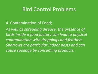 Bird Control Problems
4. Contamination of Food;
As well as spreading disease, the presence of
birds inside a food factory can lead to physical
contamination with droppings and feathers.
Sparrows are particular indoor pests and can
cause spoilage by consuming products.
 