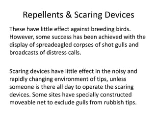 Repellents & Scaring Devices
These have little effect against breeding birds.
However, some success has been achieved with the
display of spreadeagled corpses of shot gulls and
broadcasts of distress calls.
Scaring devices have little effect in the noisy and
rapidly changing environment of tips, unless
someone is there all day to operate the scaring
devices. Some sites have specially constructed
moveable net to exclude gulls from rubbish tips.
 