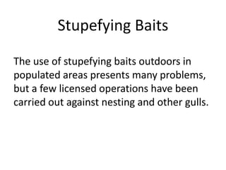 Stupefying Baits
The use of stupefying baits outdoors in
populated areas presents many problems,
but a few licensed operations have been
carried out against nesting and other gulls.
 