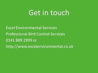 Get in touch
Excel Environmental Services
Professional Bird Control Services
0141 889 2999 or
http://www.excelenvironmental.co.uk
 