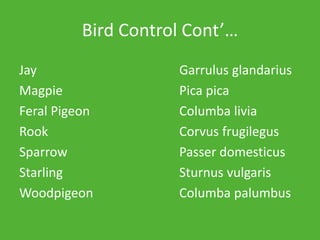 Bird Control Cont’…
Jay Garrulus glandarius
Magpie Pica pica
Feral Pigeon Columba livia
Rook Corvus frugilegus
Sparrow Passer domesticus
Starling Sturnus vulgaris
Woodpigeon Columba palumbus
 