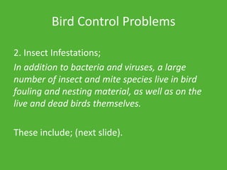 Bird Control Problems
2. Insect Infestations;
In addition to bacteria and viruses, a large
number of insect and mite species live in bird
fouling and nesting material, as well as on the
live and dead birds themselves.
These include; (next slide).
 