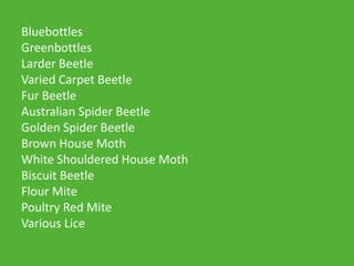 Bluebottles
Greenbottles
Larder Beetle
Varied Carpet Beetle
Fur Beetle
Australian Spider Beetle
Golden Spider Beetle
Brown House Moth
White Shouldered House Moth
Biscuit Beetle
Flour Mite
Poultry Red Mite
Various Lice
 